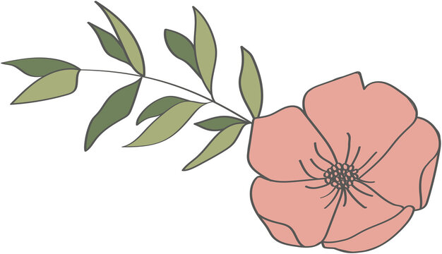 floral border corner decoration 