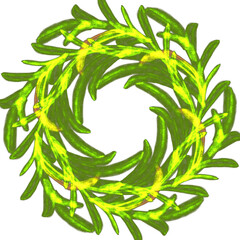 Frame of green orchid plant 