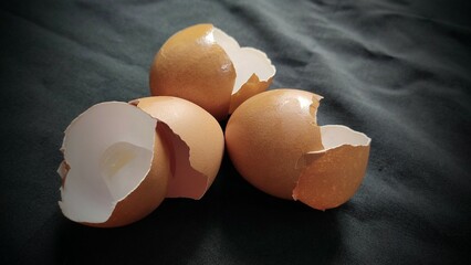 broken egg shell
