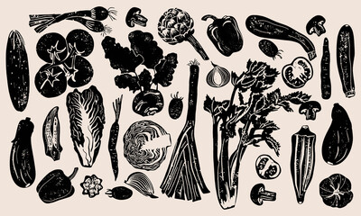 Different vegetables linocut vector illustration with grunge texture. Monochrome linear woodcut illustration. Harvest, autumn isolated graphic elements. 