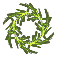 Frame of green orchid plant 