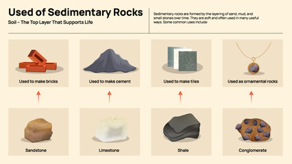 Uses of Sedimentary Rocks Infographic - Applications and Examples in Daily Life
