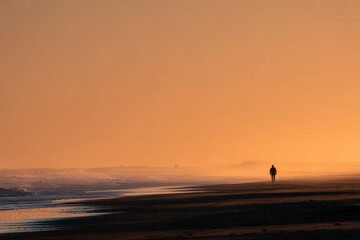 Fototapeta premium serene scene of solitary figure walking along deserted beach at golden hour