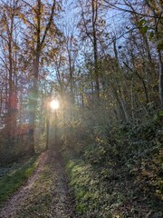 Sunny autumn day in the Black Forest