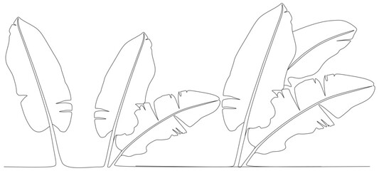 banana leaf line art vector design eps 3
