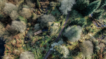 Drone View of Rewilding Project