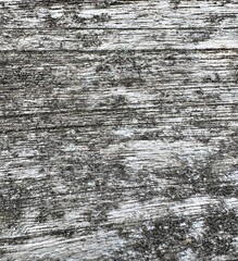 Close up of old weathered wooden background