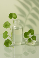 A bottle of water surrounded by fresh gotu kola leaves on a calm water surface, creating a natural, refreshing, and serene atmosphere.