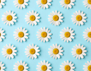 A perfectly arranged seamless repeating pattern of identical white daisies with vibrant yellow centers on a bright, cheerful blue background.