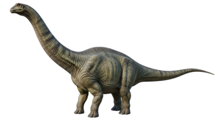 Isolated Brachiosaurus