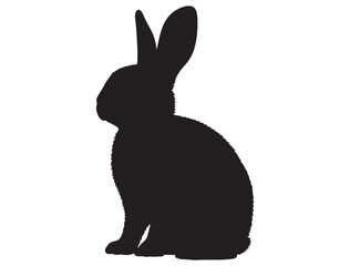  BUNNY SILHOUETTE