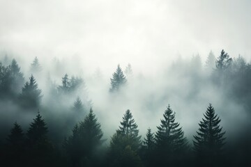 Fototapeta premium Misty dark forest silhouette against foggy white sky atmospheric landscape, Misty dark forest outline set against a foggy white sky, evoking a serene and atmospheric natural scene
