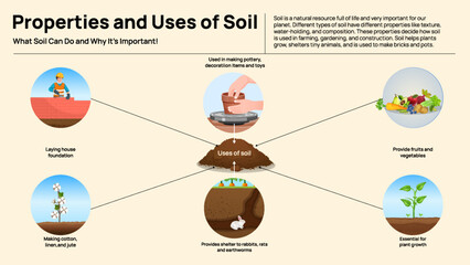Types of Soil Infographic - Properties, Uses, and Characteristics of Different Soils