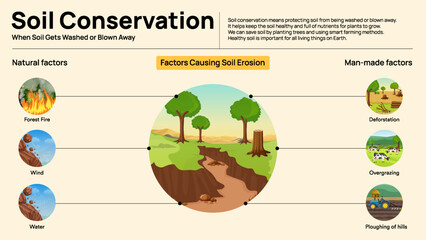 Soil Conservation Infographic - Natural and Human Measures to Prevent Soil Erosion