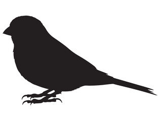 CANARY BIRD SILHOUETTE