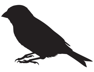 CANARY BIRD SILHOUETTE