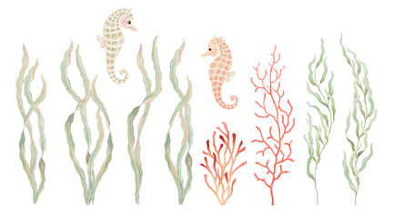 Watercolor set with seaweeds, sea plants, corals and cute seahorses, hand drawn isolated collection design elements for your cards, wallpapers or prints. © Nikole