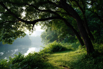 serene moment in nature essence of solitude and reflection