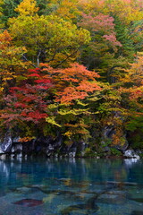 法体の滝の紅葉。由利本荘、秋田、日本。10月下旬。