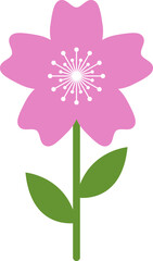 flower icon set vector illustrations