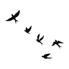 Bird silhouette and flying birds silhouettes on white background. Vector illustration. isolated bird flying.