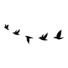 Bird silhouette and flying birds silhouettes on white background. Vector illustration. isolated bird flying.