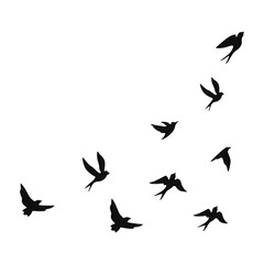 Bird silhouette and flying birds silhouettes on white background. Vector illustration. isolated bird flying.