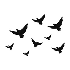 Bird silhouette and flying birds silhouettes on white background. Vector illustration. isolated bird flying.