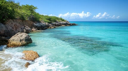 Fototapeta premium Turquoise ocean waves gently lap against a rocky shore with lush green vegetation isolated on white background