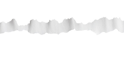 Torn paper texture  isolated on white background