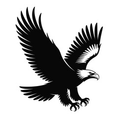 Obraz premium A black and white vector illustration of a soaring eagle