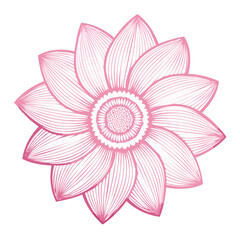 Fototapeta premium Elegant pink flower with delicate line art on a black background. Ornamental floral bloom for cards, prints, and design elements, floral vector art