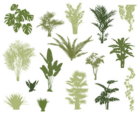 set of tropical plants silhouettes, vector illustration
