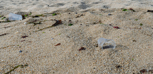 Plastic cups polluting sandy beach, environmental damage