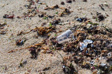 Plastic cup polluting sandy beach with seaweed and shells