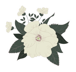 Bouquet of large white flowers painted by hand. Botanical ornament for fabrics, textiles, packaging and wallpaper. Vector illustration.