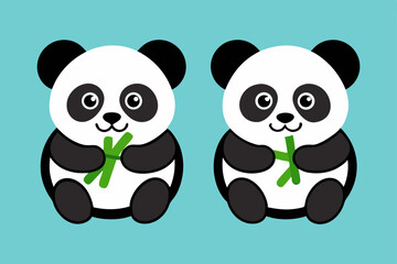 pandas eating bamboo cute animal wildlife