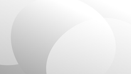 white background. luxury background. vector