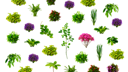 Vibrant Collection of Lush Greenery Diverse Plants and Flowers