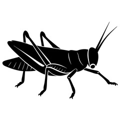 Detailed black silhouette of a grasshopper with prominent legs and antennae on a white background