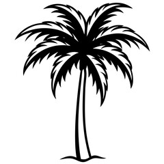 silhouette of palm tree