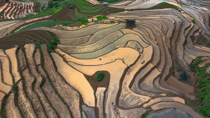 Hmong farmers prepare their fields and plant rice on terraced fields in Mu Cang Chai, Yen Bai....