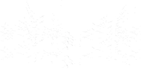 A blank, rough white grunge wall texture with a vintage, dirty concrete surface design