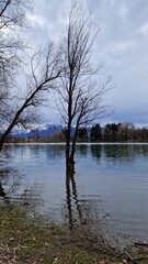 Obraz premium Overflowing lake in the woods under a moody sky