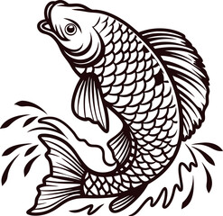 Fototapeta premium Detailed vintage illustration of leaping carp fish with scales and splashing water in monochrome black and white