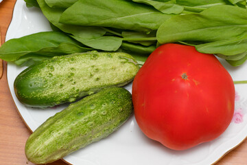 Fresh garden vegetables gathered for a healthy meal preparation