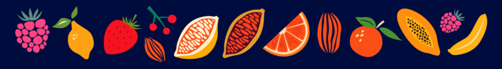 Fruits vector collection. Colourful art collection of fruits. 