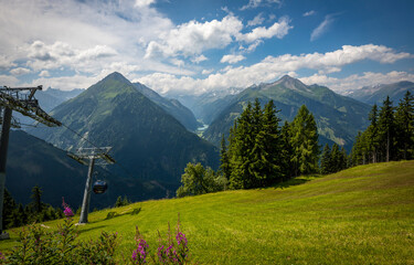 alpine meadow in the alps