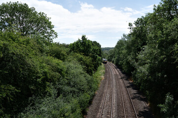 A train going on a curve through lush green forest, disappearing into the distance under a summer sky.