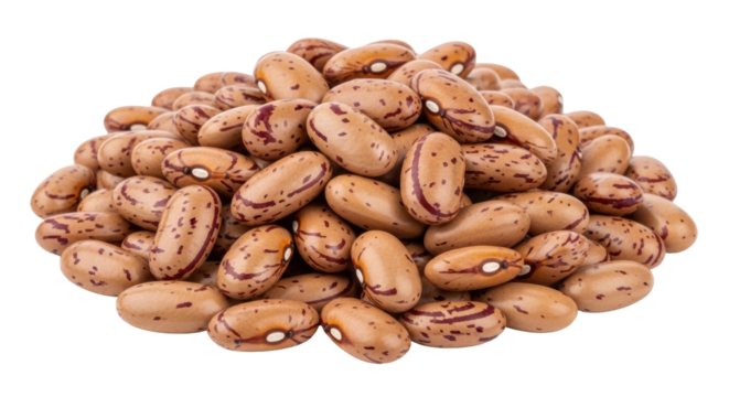 Isolated Pile of Pinto Beans